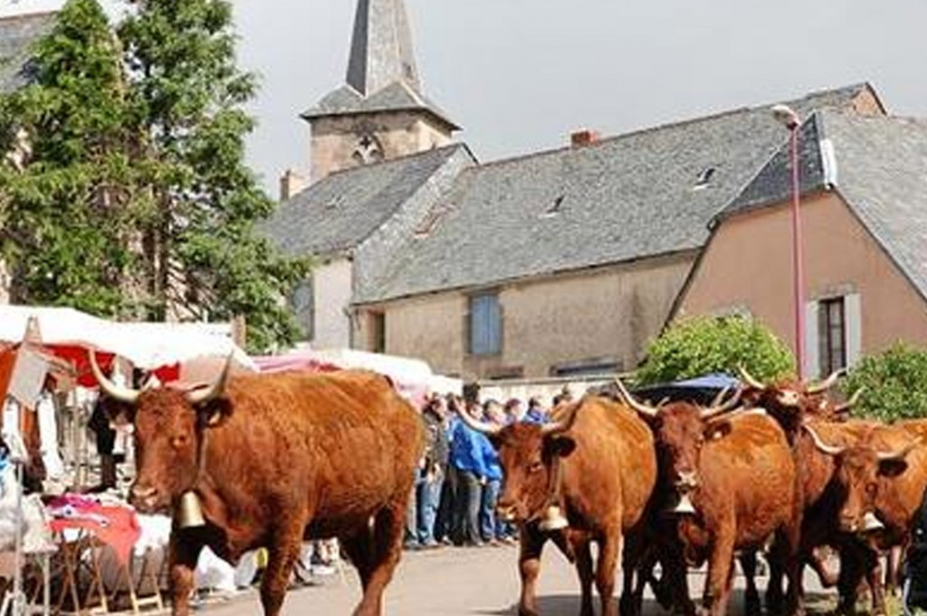 Fête de l'Aiguade